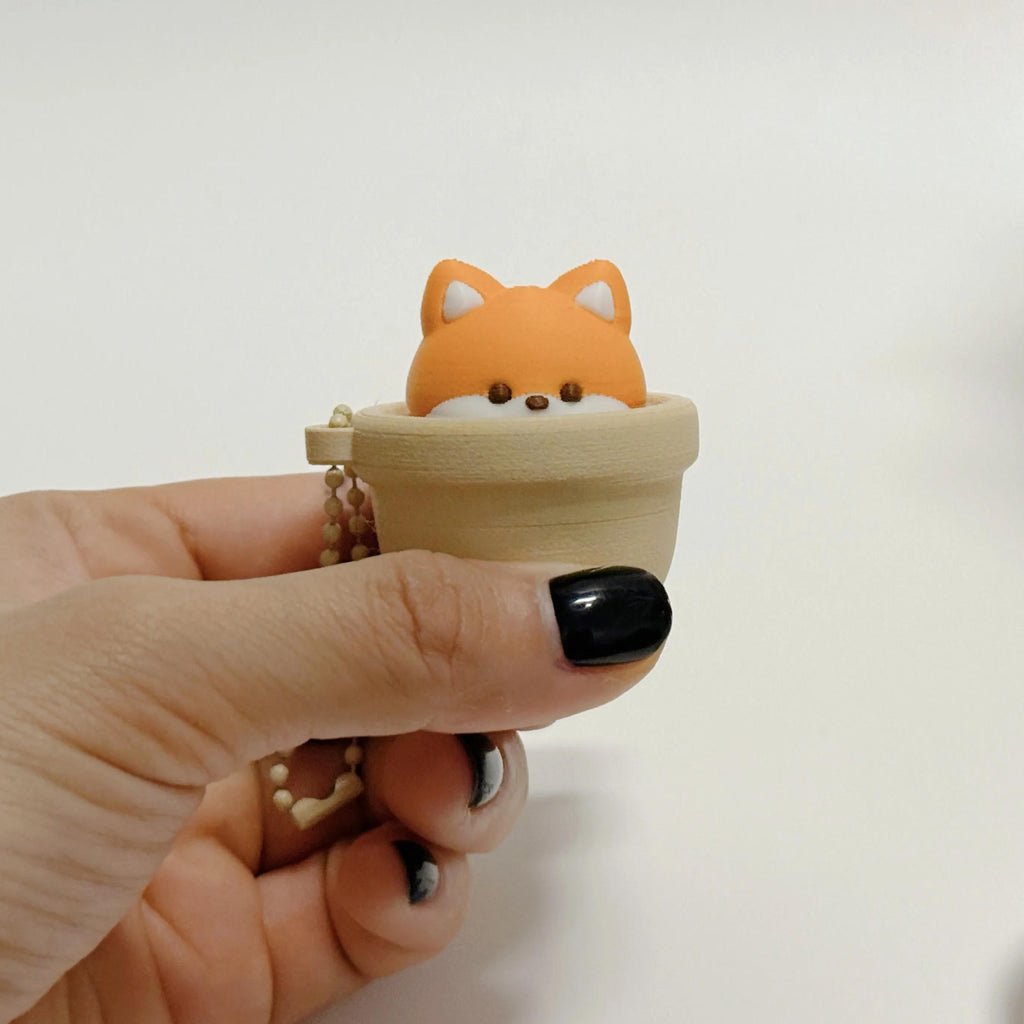 Pop Up Fox Pot Fidget Clicker | Kawaii Portable Pocket Stress Relief Toy