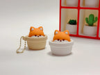 Pop Up Fox Pot Fidget Clicker | Kawaii Portable Pocket Stress Relief Toy