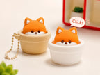 Pop Up Fox Pot Fidget Clicker | Kawaii Portable Pocket Stress Relief Toy