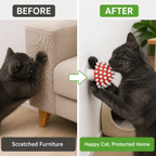 pet-products-to-protect-your-furniture